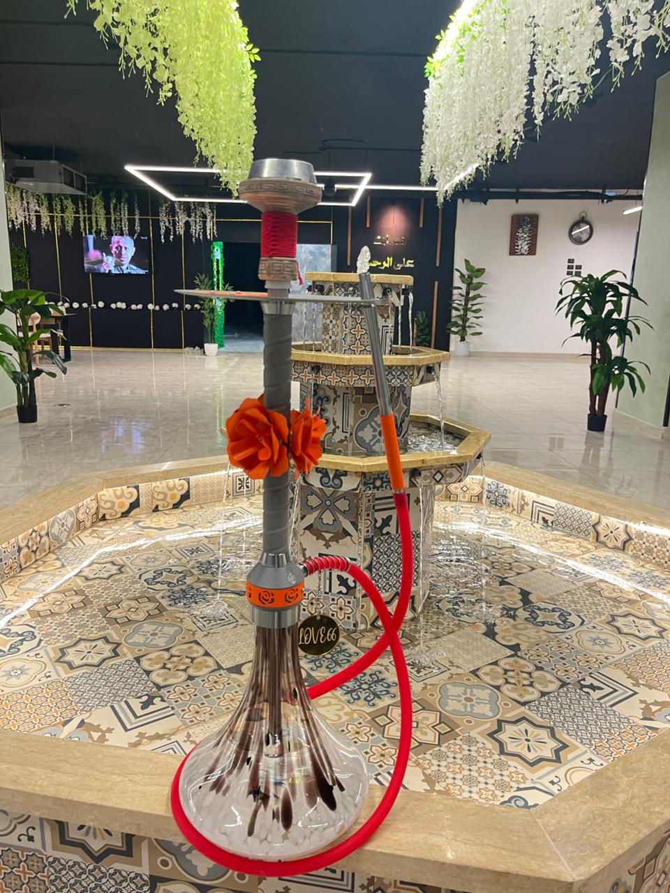 لوف66